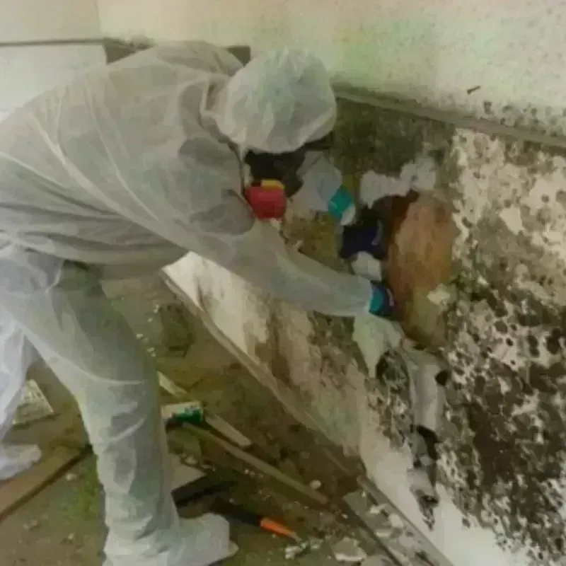 Mold Remediation and Removal in Sullivan County, NH